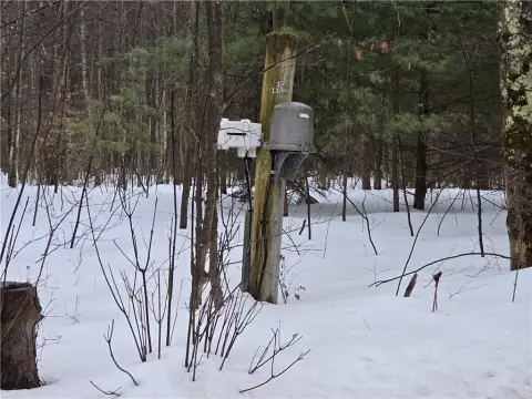 25 Acres of Wooded Land