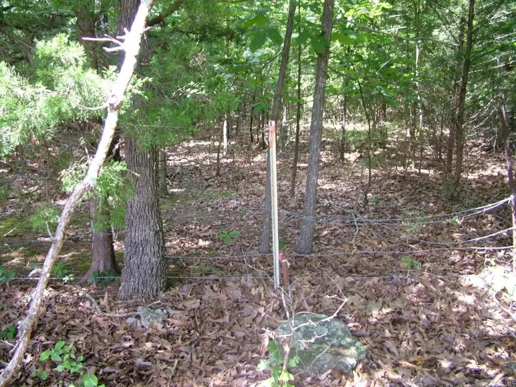 Picture 13