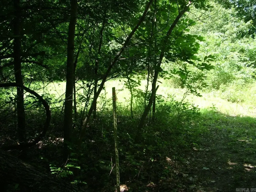 Picture 14