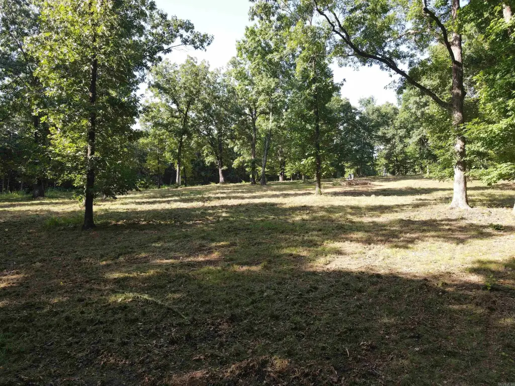 Picture 13