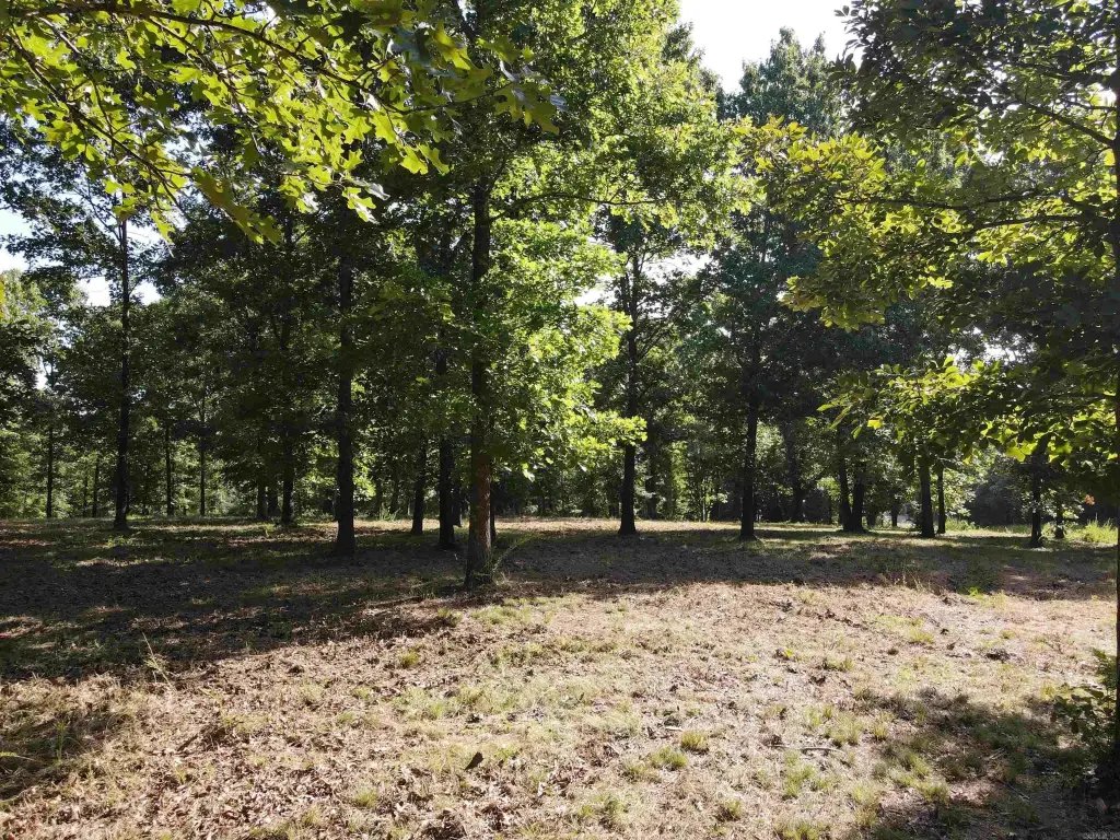 Picture 17