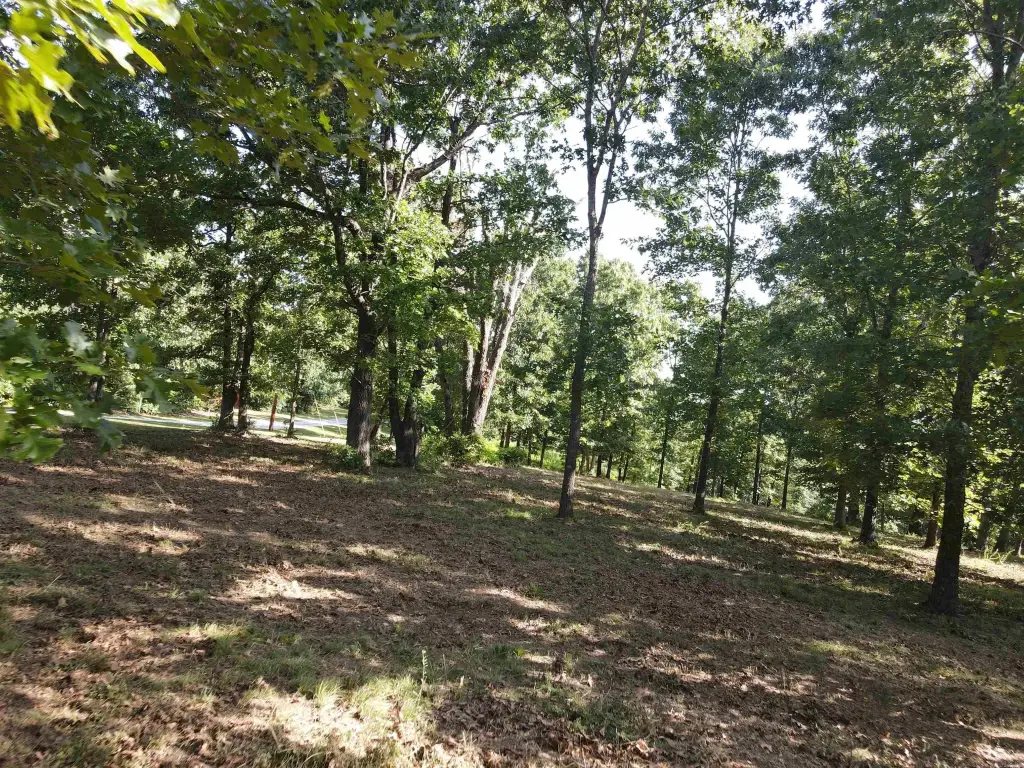 Picture 18