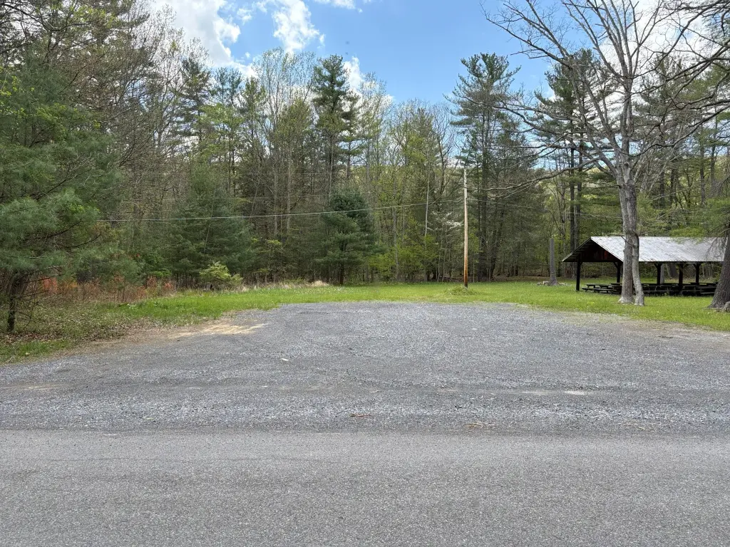 Picture 15