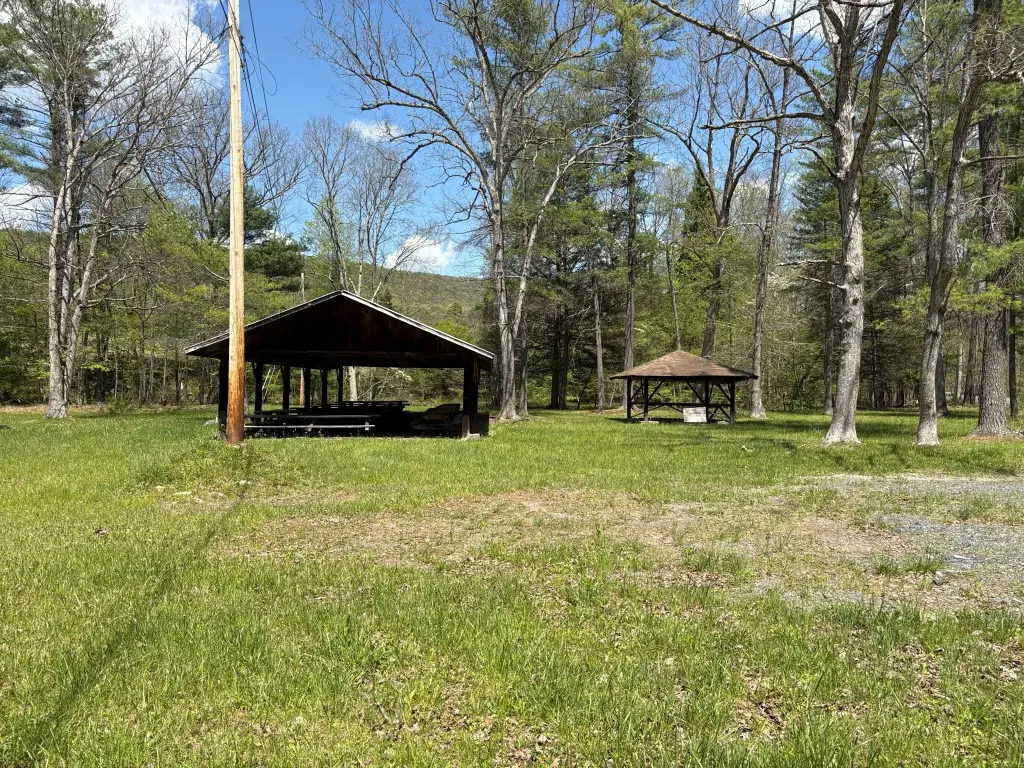 Picture 2