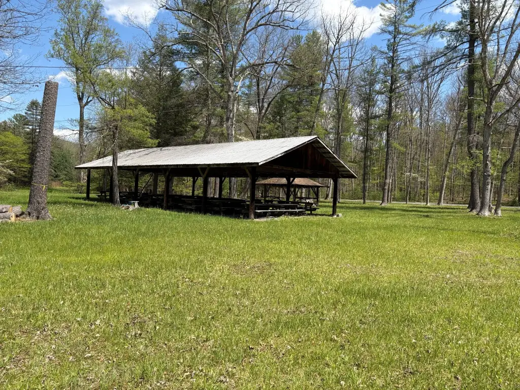 Picture 4