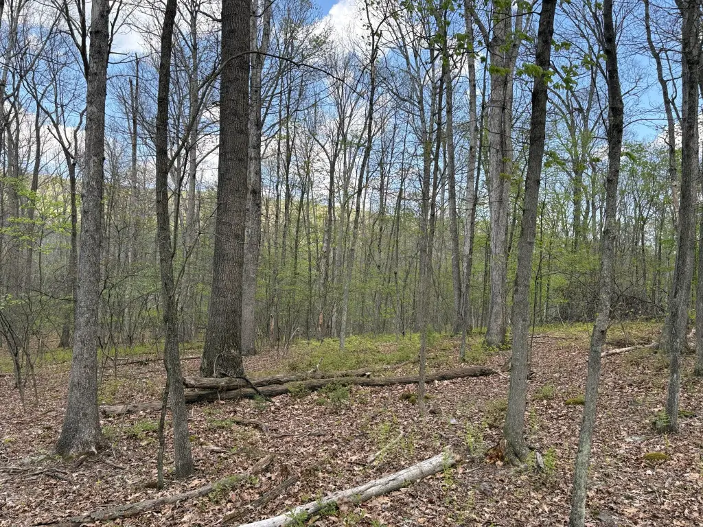 Picture 30