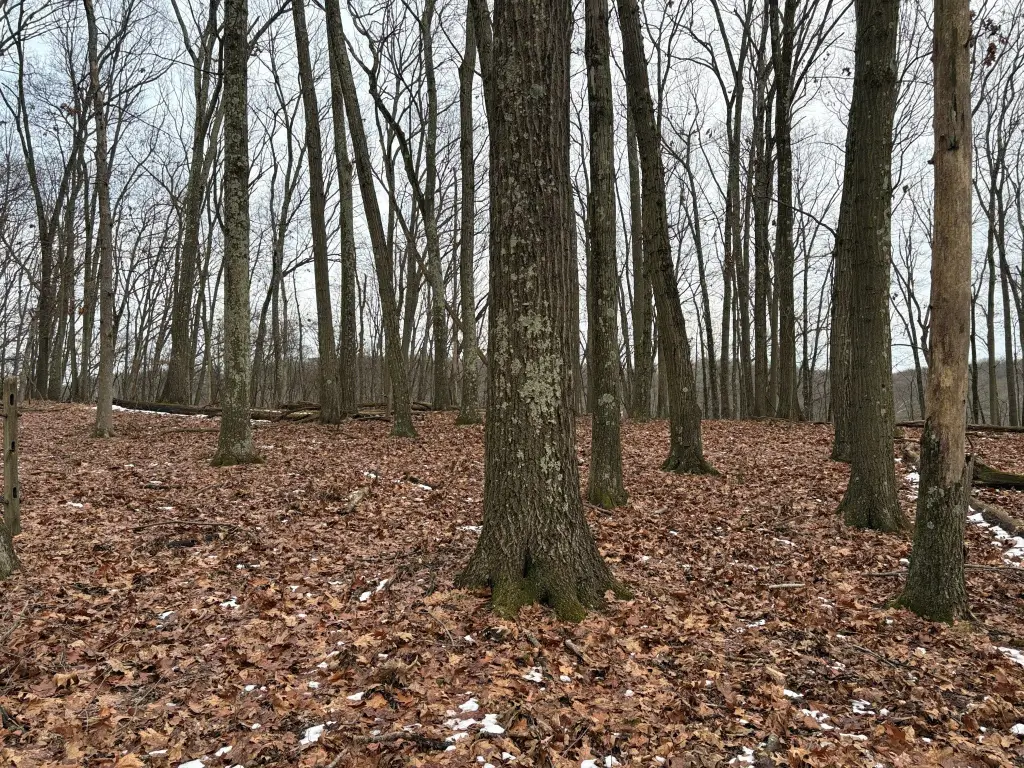 Picture 29
