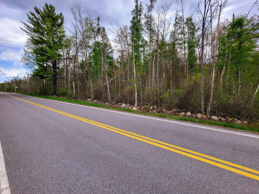 Picture 20