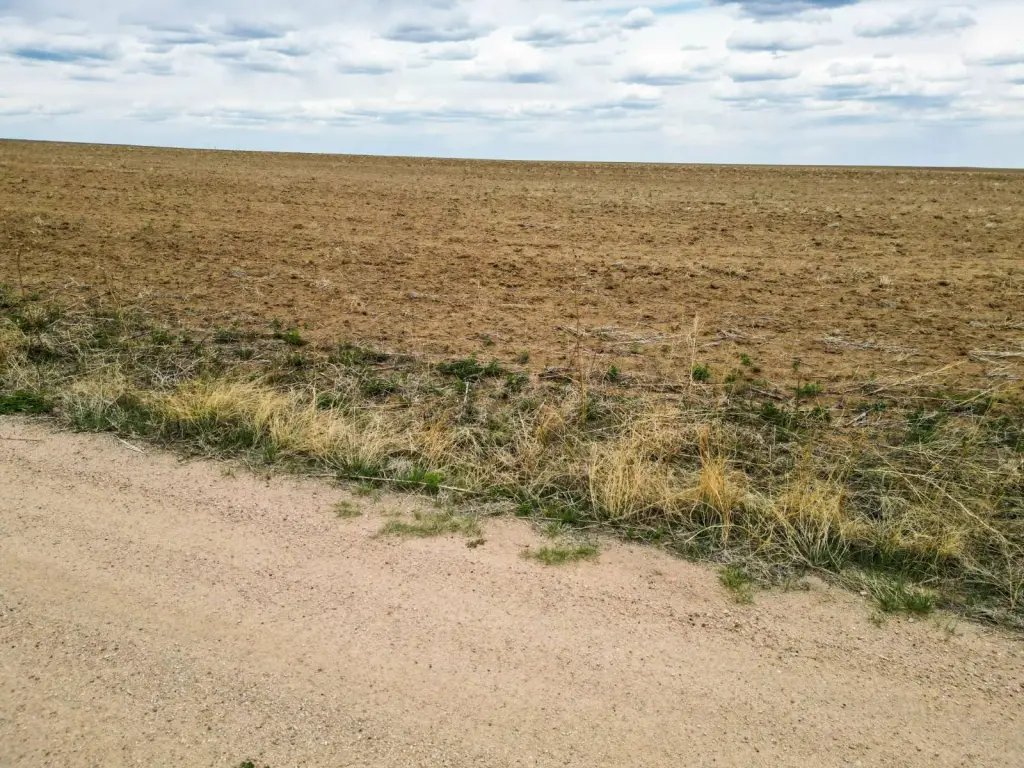 Picture 16