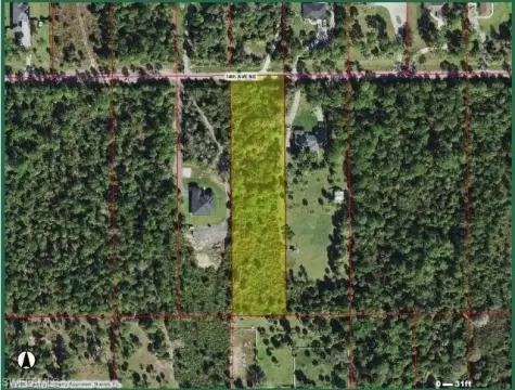 Naples Land: Estate Home Potential