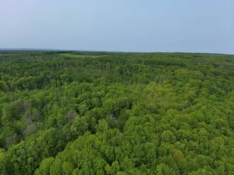 Newport, NY Vacant Land