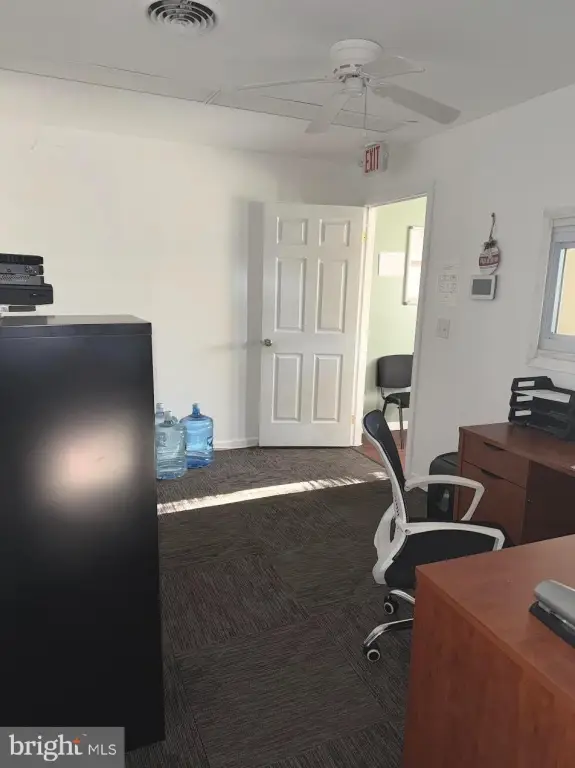 Picture 5