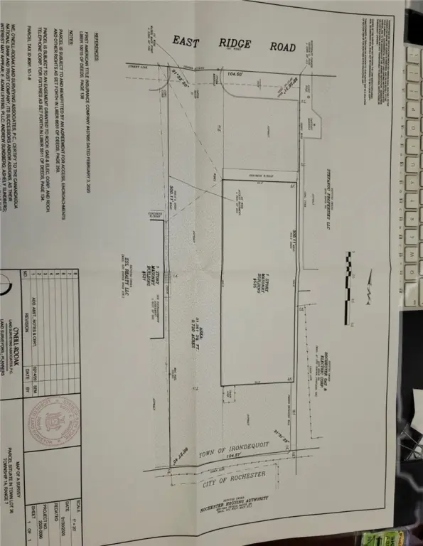 Picture 5
