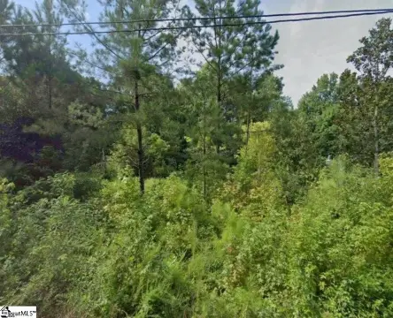 Residential Lot in Clinton, SC