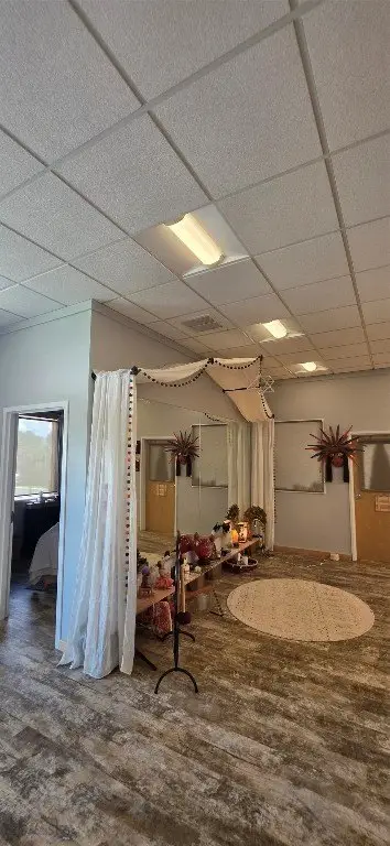 Picture 12