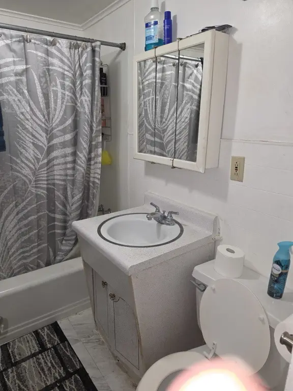 Picture 12