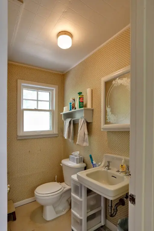 Picture 38