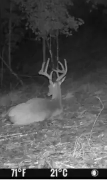 Summer Shade Acreage with Cabin