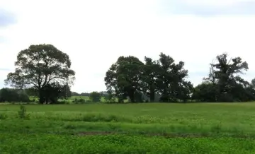 Quitman Land Near Lake Fork