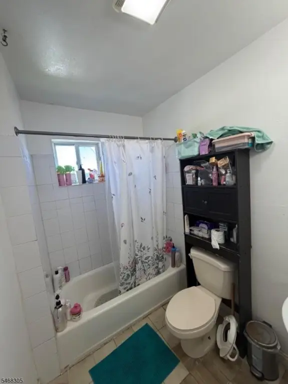 Picture 3