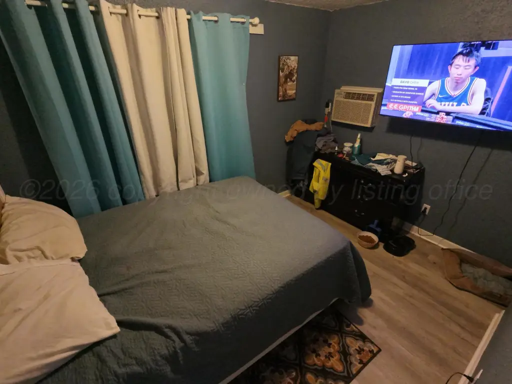 Picture 28