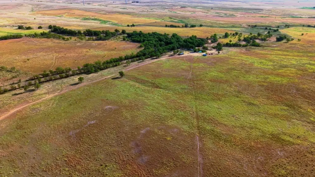 Picture 20