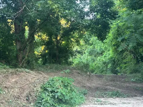 92 Acres of Kentucky Countryside