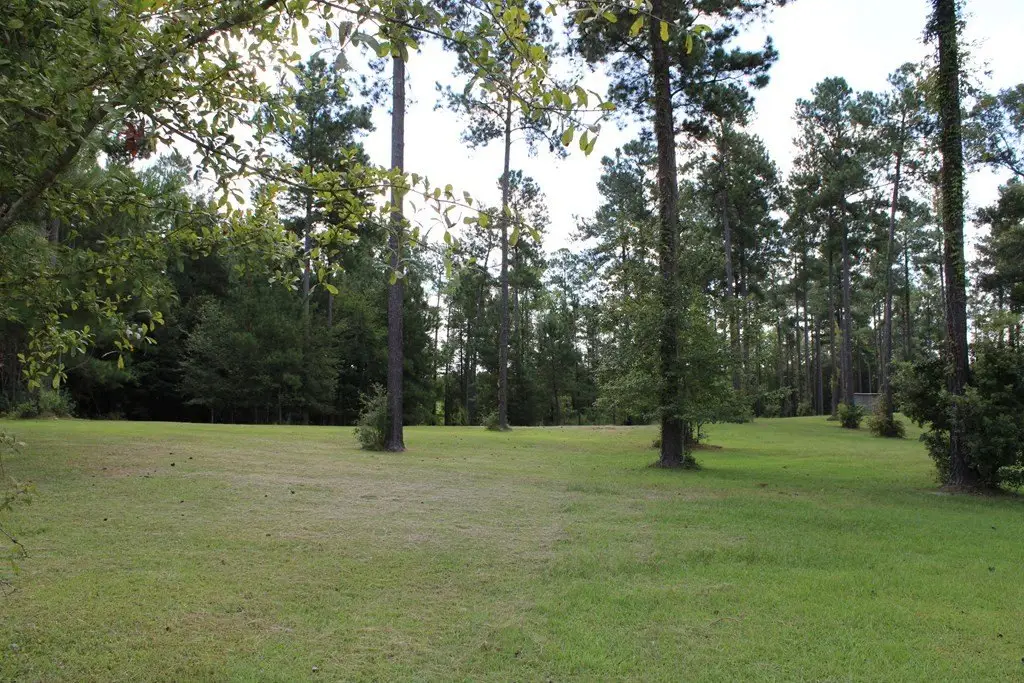 Picture 3