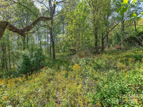 Asheville Land with Stream