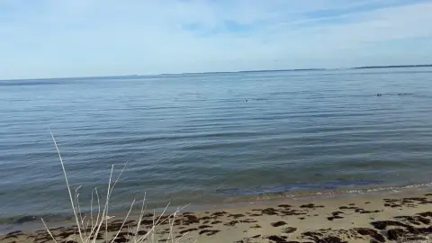 Waterfront Lot with Bay Views