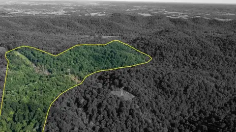 Remote Hunting/Recreation Land in Kentucky