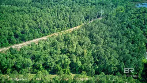 Recreational Land in Chunchula, Alabama