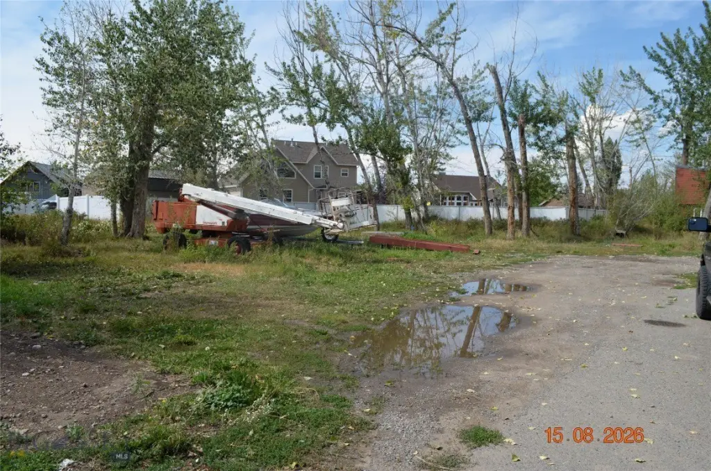 Picture 4