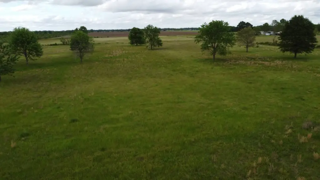 Picture 16