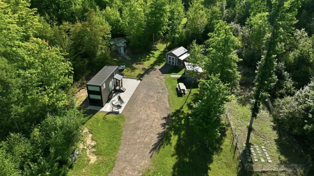 Picture 5