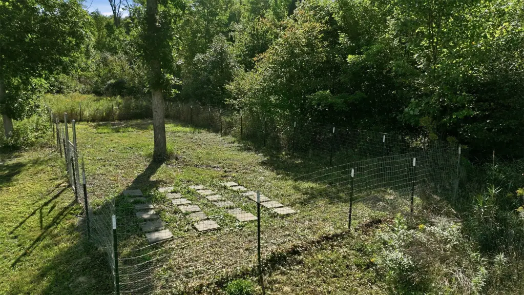 Picture 9