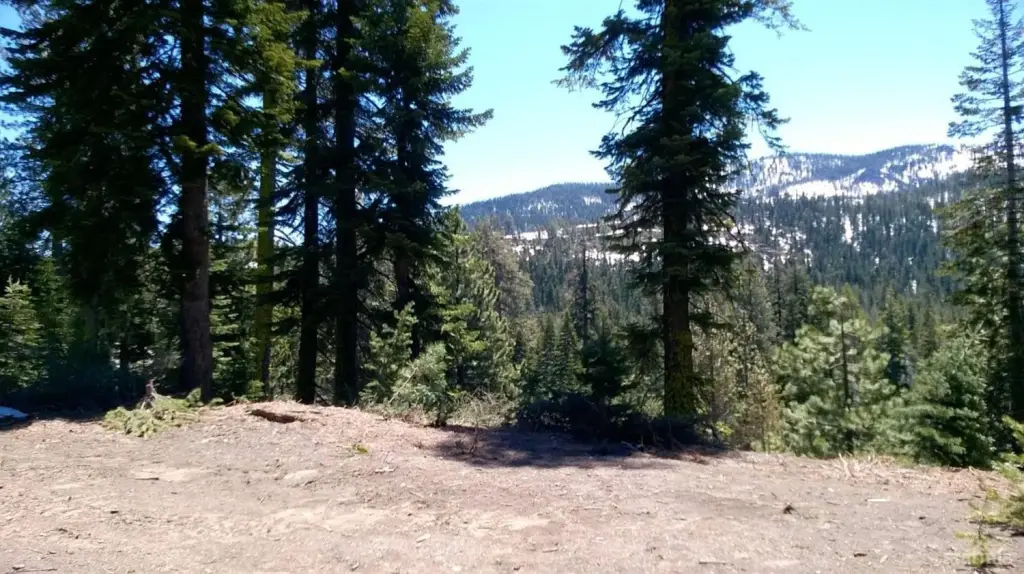 Picture 11