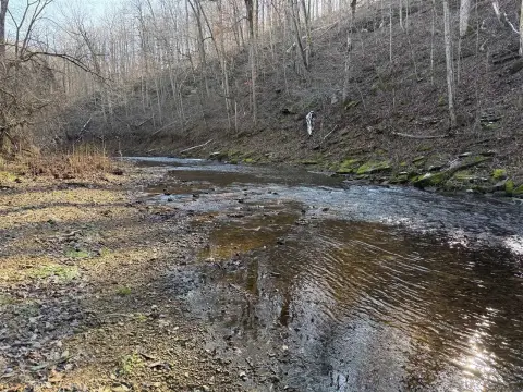 Kentucky Farm with Creek Frontage
