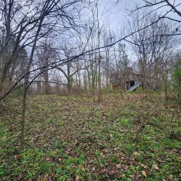 Wooded Lot in Bowling Green