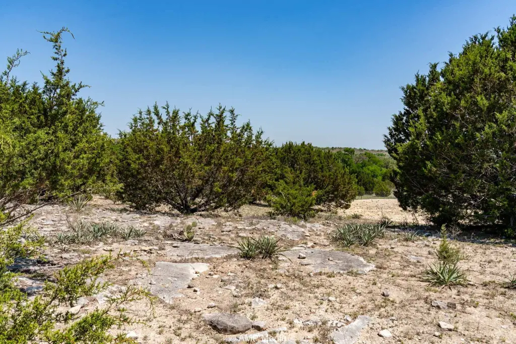Picture 30