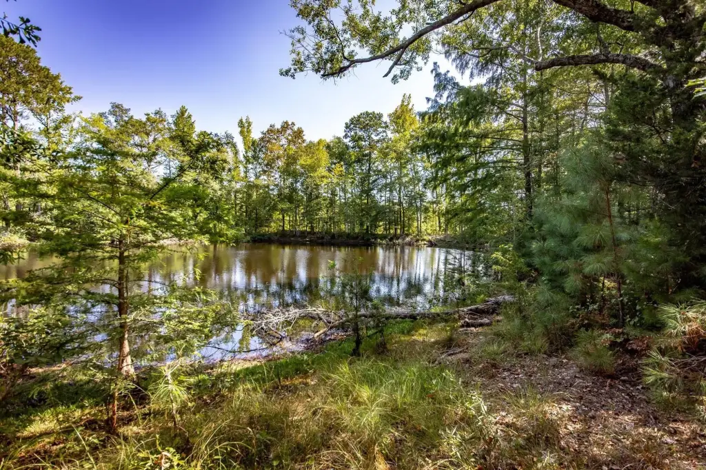 Picture 42