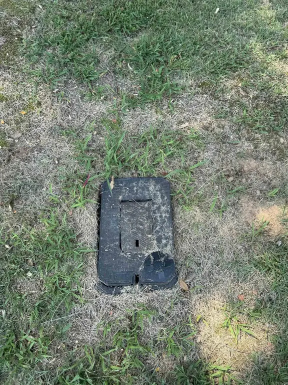 Picture 4