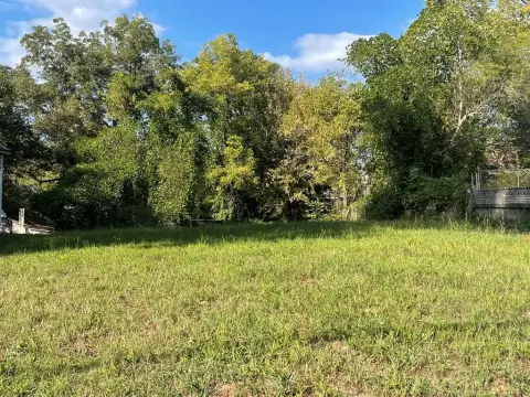 Vacant Lot Near Downtown Paris