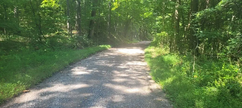 Picture 4