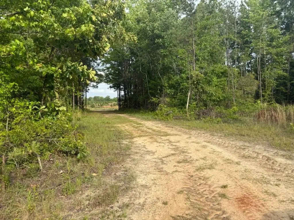 Picture 3