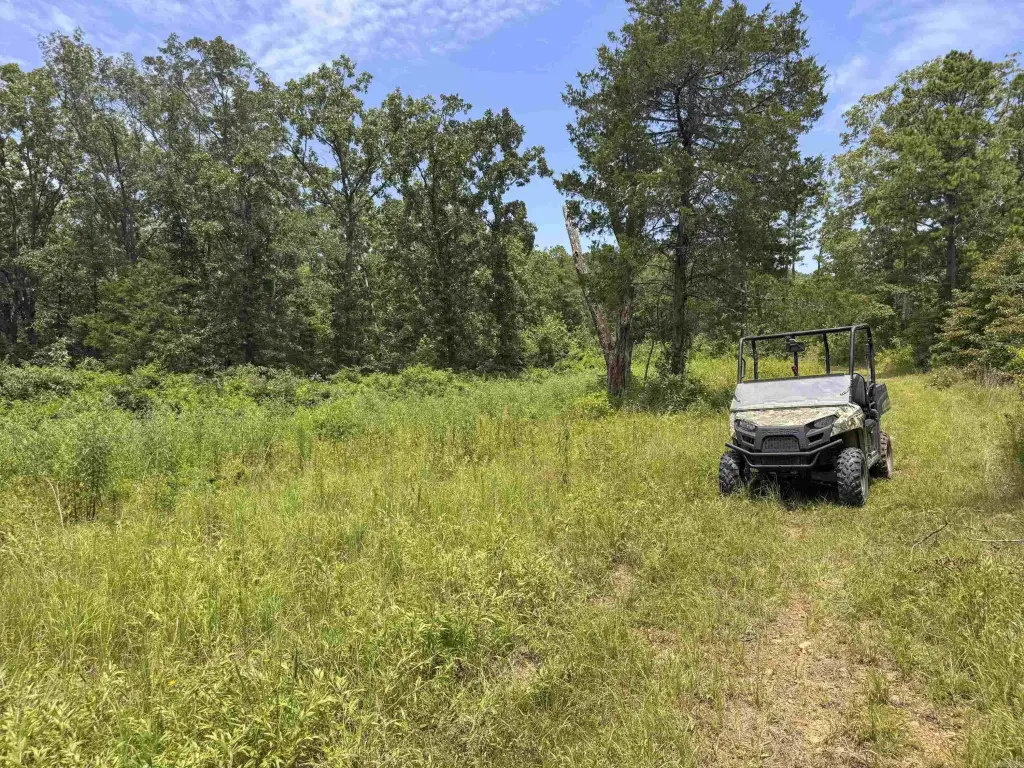 Picture 22