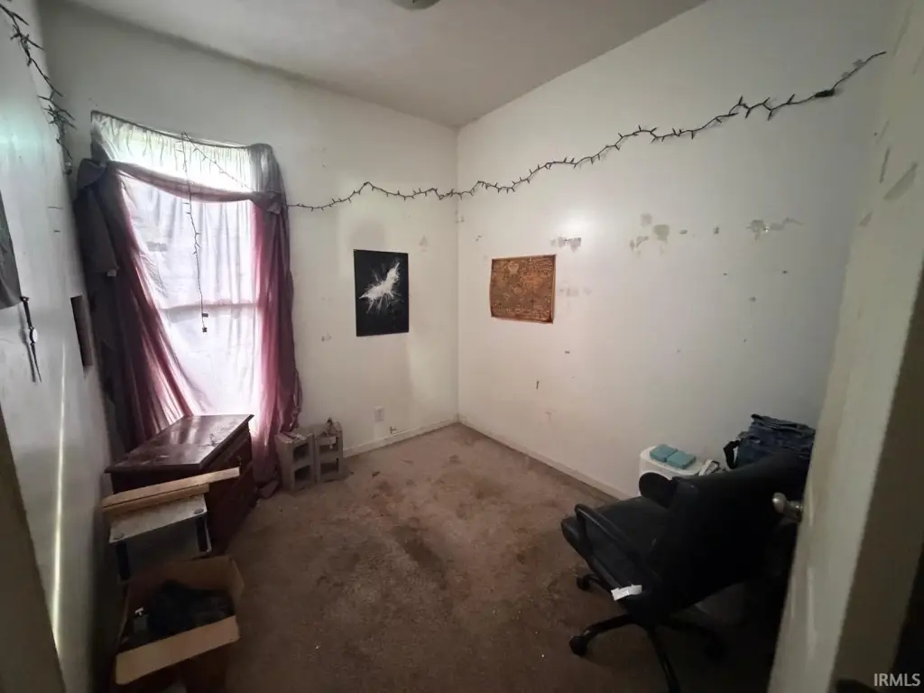 Picture 7