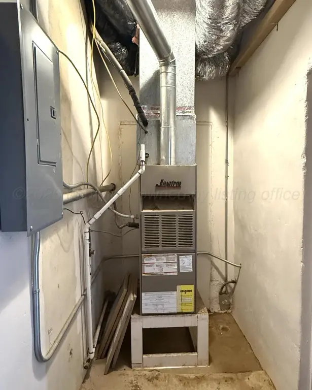 Picture 11