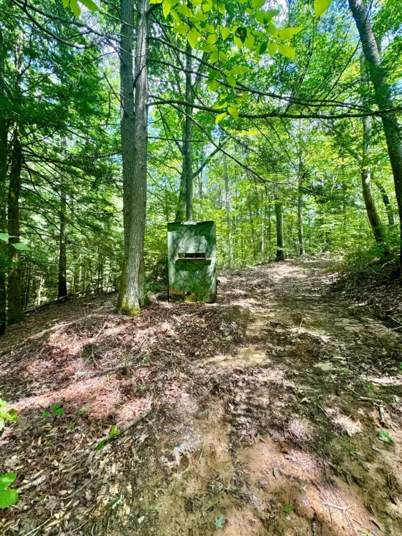 Picture 21