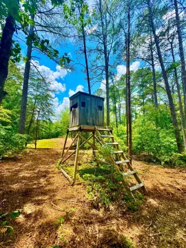 193 Acres of Vacant Land